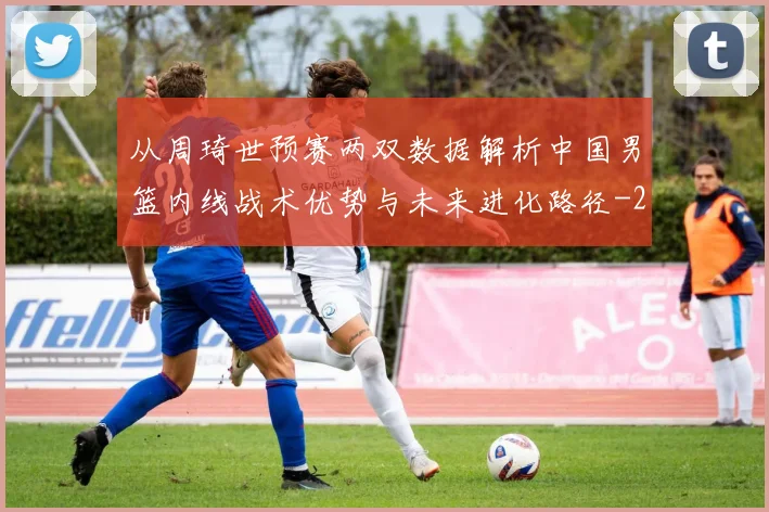 从周琦世预赛两双数据解析中国男篮内线战术优势与未来进化路径