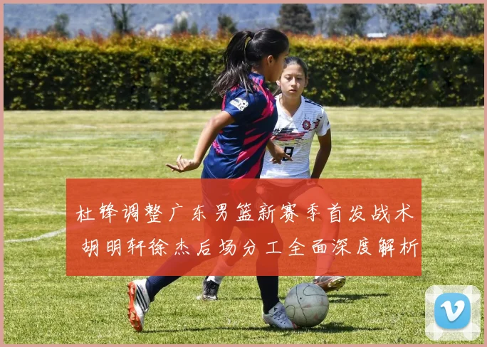 杜锋调整广东男篮新赛季首发战术 胡明轩徐杰后场分工全面深度解析