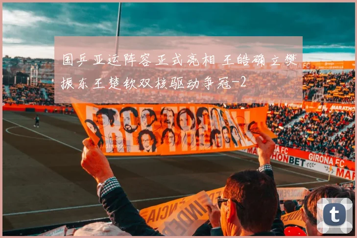 国乒亚运阵容正式亮相 王皓确立樊振东王楚钦双核驱动争冠